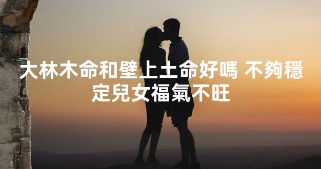 大林木命和壁上土命好嗎 不夠穩定兒女福氣不旺